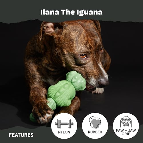 BarkBox Ilana the Iguana Super Chewer - Toy for Medium to Large Dogs - color: Illana the Iguana, size: Medium/Large