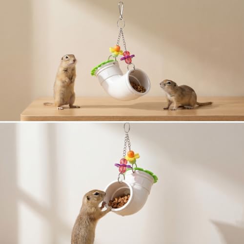 Rat Toys, Rat Foraging Toy for Various Treats Rats Cage Accessories