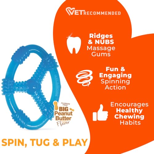 Nylabone Puppy Chew Teething Spin Tug & Play Dog Toy, Peanut Butter Flavor