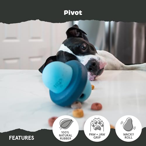 BarkBox Pivot Super Chewer Dog Toy - Toy for Medium Dogs - color: Pivot