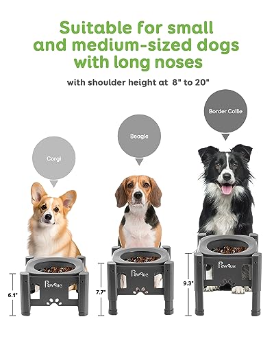 Pawque 35oz Elevated Slow Feeder Dog Food Bowls with Adjustable Stand - color: Grey