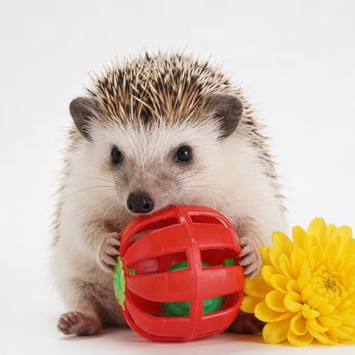 Dig-Box Tray for Hedgehog Cage with Ball Toy, Hedgehog Enrichment Kit Toy, Hedgehogs Accessories, for Hamster, Cat, Small Animal Accessories (White, 8.4 * 5.9 * 1.6in)