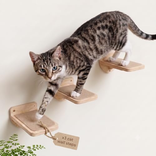 INICIO Cat Wall Steps - 3 Pack of Stairs for Cats to Climb - Natural Wood
