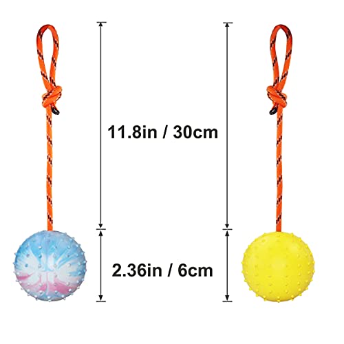 2 Pack Dog Ball, K9 Ball on Rope for Reward, Fetch, Play (6cm) - size: 2.36 in (Bright Color)