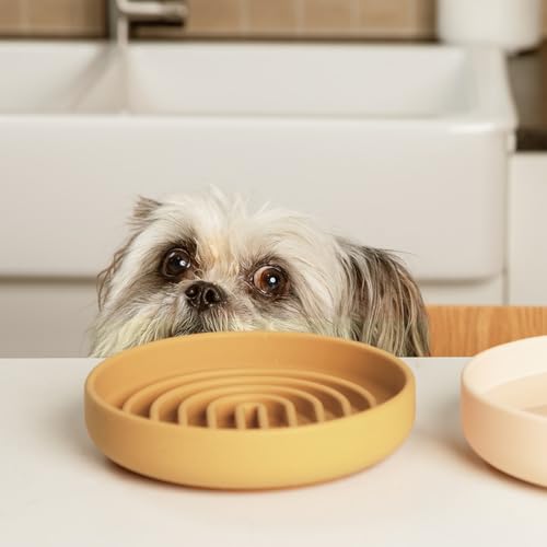 Slow Feeder Dog Bowl - Silicone Dog Bowl, Small, 6" x 1.25" - Honey - color: Honey - Rainbow Design, size: Small (6” Across x 1.25” Tall)