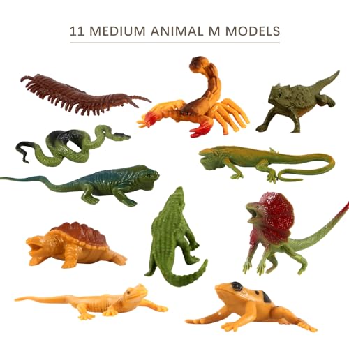 32PCS Desert Animals Figures, Realistic Lizard Reptile Toys for Kid - style: Reptiles