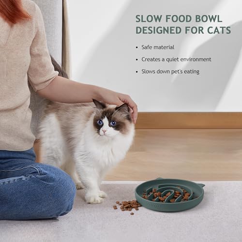 Coomazy Slow Feeder Cat Bowl Silicone Pet Puzzle Feeder for Slow Eating - color: Green