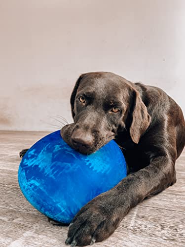 SuperChewer Tough Flying Disc Toy | Lifetime Replacement | Strong Natural Rubber | Great Dog Fetch Toys | Rubber Disc Toy for Dogs | Ultra Durable Chew Toys for Aggressive Chewers | for All Breeds - size: Large
