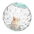 7.9 Inch Clear Hamster Exercise Ball, Large Transparent Running Toy for Syrian & Dwarf Hamsters, Breathable Plastic Activity Ball for Small Pets (Green Lid)