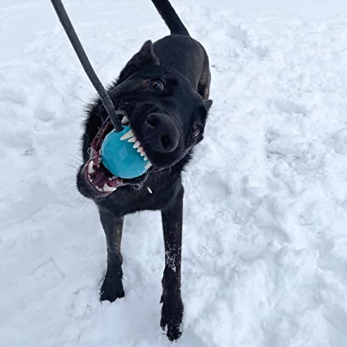 K9 Ops Dog Ball on a Rope Moki Tug Toy - Solid Rubber Fetch Training Reward - Large Dogs Durable Indestructible Chewers Pitbull Dobermann Rottweiler Shepherd (Lagoon Blue - Black Rope) - color: Lagoon Blue, size: LG/XL