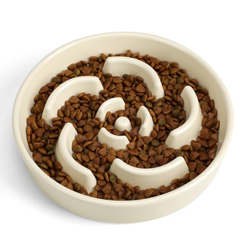 Ceramic Slow Feeder Dog Bowl, 2 Cups Maze Puzzle Dish to Slow Down Eating - color: Flower - White