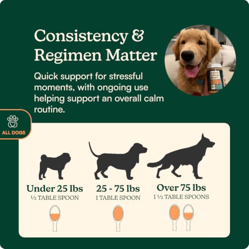 Reggie Calming Peanut Butter for Dogs, 100% Natural Dog Peanut Butter with Melatonin & L-Theanine, Lick Mat Spread for Short-Term Dog Anxiety Relief, Made in USA 16oz - size: 1PK - 16oz