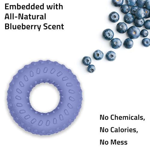 Playology Dual Layer Ring Dog Toy for Aggressive Chewers, Blueberry Scent - size: Jumbo, style: Blueberry