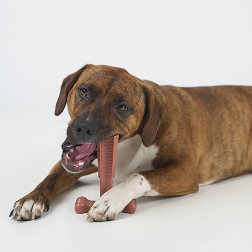 SPOT Bam-Bones Plus T-Bone Dog Chew, Beef, 6in, 30-60 lb Heavy Chewers - size: Medium
