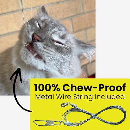 Forever Stick Cat Wand Toy, 3 Strings, Chew Proof Metal Wire - size: Forever Stick and Chew-proof String