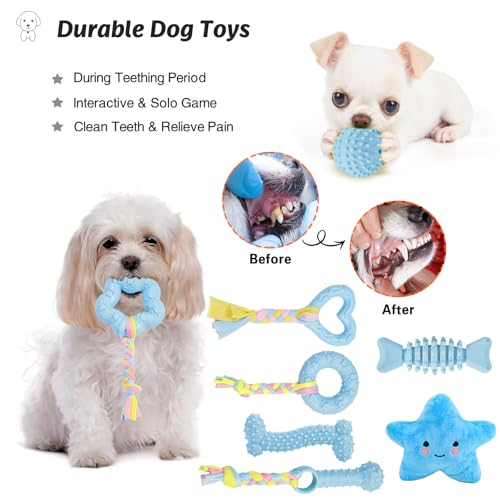 MRSOHRET Puppy Toys, 8 Pack Puppy Chew Toys for Teething, Cute Blue Small Dog Toys Set, Teething Toys for Puppies, Soft Durable Interactive Chew Toy for Small Dogs - color: Blue