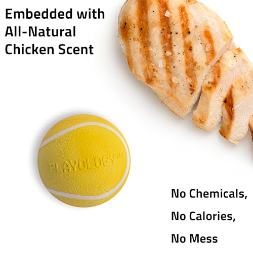 Playology Squeaky Chew Ball Dog Toy - Jumbo, Chicken Scent - size: Jumbo, style: Chicken