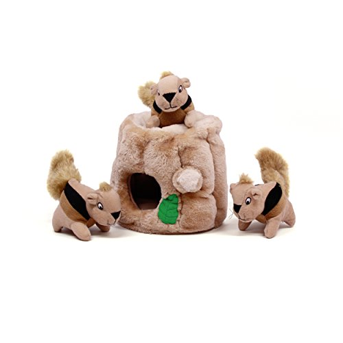 Outward Hound Hide-A-Squirrel Plush Squeaky Dog Toy, Large, 10.5" x 7.5"