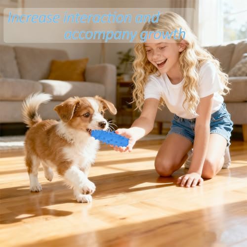 2 Pack Dog Chew Toys, Tough Puppy Teething Toys for Puppies, Soft Foaming Rubber Toys for Small Medium Breed (Blue)