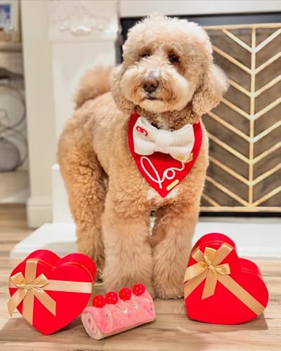 CHEWFFON Birthday Cake Snuffle Dog Toy, Enrichment Treat Hiding Puzzle - style: Strawberry Roll Cake