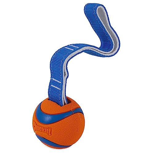 Chuckit! Ultra Tug Dog Toy (Medium) Flying Squirrel Fetch Dog Toy (Medium)