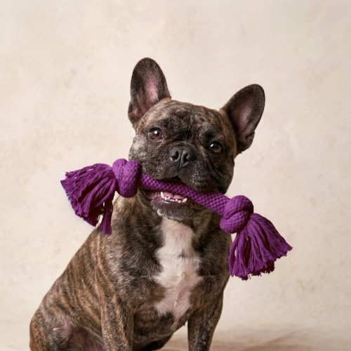 Playology Tug Rope Dog Toys for Medium Dogs - Medium, Bacon Scent - size: Medium, style: Bacon