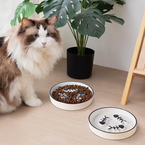 Ceramic Cat Bowls Set, Whisker-Friendly Feeding Dishes, Wet & Dry Food, 2-Pack - color: 2PCS Black Plates