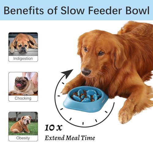 MateeyLife 2-Pack Slow Feeder Dog Bowls, 2 Cups, Dog Puzzle Feeder Bowl - color: A-LightBlue&DarkBlue, size: Medium