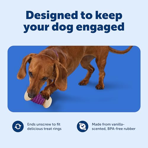 PetSafe Busy Buddy Nobbly Nubbly Treat Holding Dog Chew Toy, Small - size: Small, style: Nobbly Nubbly