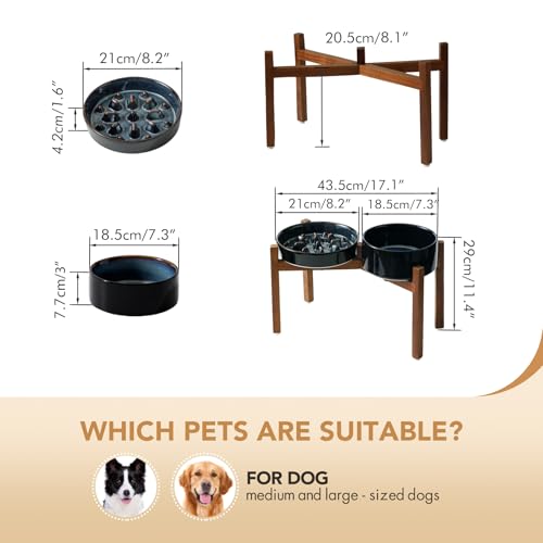 Havniva Raised Slow Feeder Dog Bowls, Elevated Dog Bowls Slow Feeder Set - color: 2 x Starry Sky + Stand - C, size: L- 8.2inch / 1.6 Cups