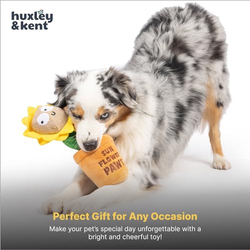 Huxley & Kent Seek 'n Treat Puzzle Dog Toy, Sunflower Pawt, Large - color: Sunflower Pawt, size: Large
