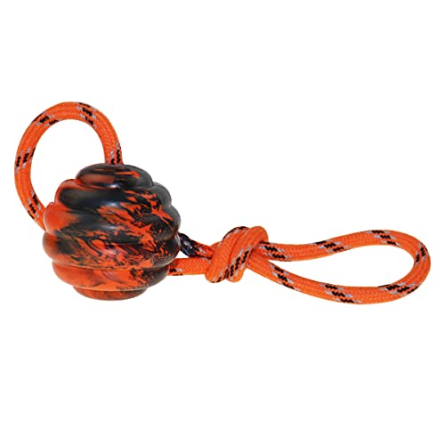 Dog Training Ball on Rope - Exercise & Reward Toy for Dogs - Chew, Pull, Throw & Fetch - Belgian Malinois Gifts - size: 1pc
