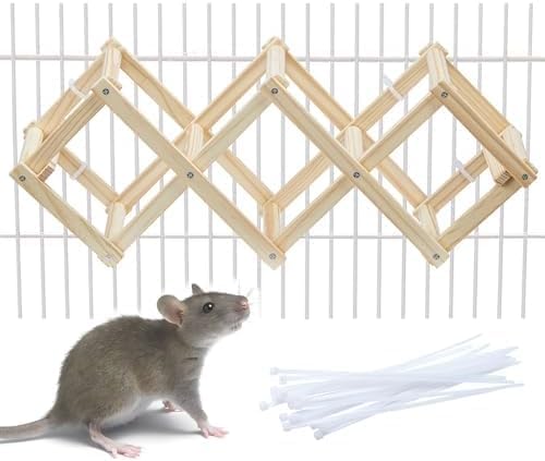 Kiln-Dried Wood Rat Climb Toy, Hanging Cage Ladder Activity (S, 1pc) - style: S, 1pc