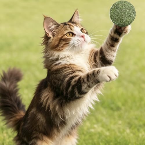 Catnip Balls for Cats (9-Count) - size: 9pcs 1inch
