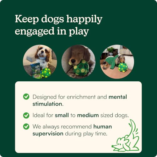 Reggie Dog Training Treats with Enrichment Toy | Turkey & Pumpkin Dog Treats + Forager Ball | Low-Calorie High-Protein Rewards | Mental Stimulation for Dogs | 340 Treats - size: Forager Ball - Turkey & Pumpkin