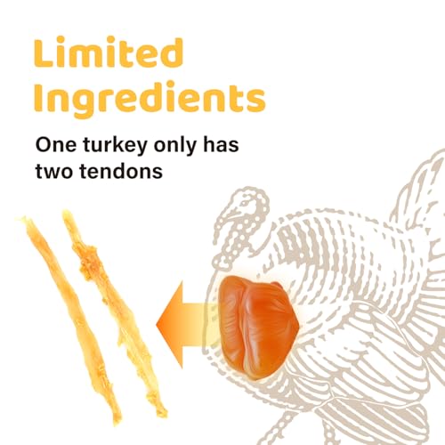iPaw 10 Pcs Value Pack Turkey Tendons Ring for Dog, All Natural Human Grade - size: 1.27 Ounce (Pack of 5)