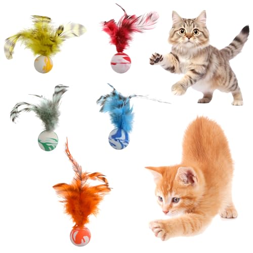 5 Pcs Feather Cat Toy, Cat Toy Balls with Natural Feathers, Interactive Indoor Cats Toys for Playful Kittens, Feather Bouncy Balls for Cats