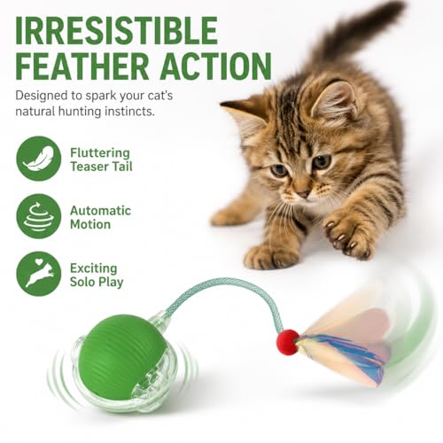 Interactive Cat Toy Ball with LED Lights – USB-C Rechargeable Automatic Cat Toy with Feather Tail for Indoor Cats & Kittens, Upgraded Version - color: Green ball
