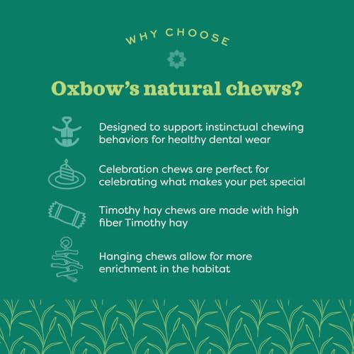 Oxbow Enriched Life Shake, Rattle and Roll - Small animal enrichment toy - style: Shake Rattle & Roll