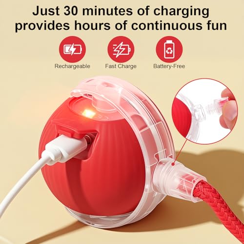 2-Pack Smart Interactive Automatic Electric Rolling Moving Rechargeable Motion Activated Self Play Stimulation Chase Teaser Ball Toy with Rope for Indoor Bored Adult Cat and Dog, Red+Red - color: Red+Red