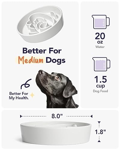LE TAUCI Dog Bowls Slow Feeder Ceramic, 1.5 Cups Slow Feeding Dog Bowl Small Medium Breed, Puppy Bowl for Fast Eaters,Angel White - color: Angle White, size: M-1.5 Cups