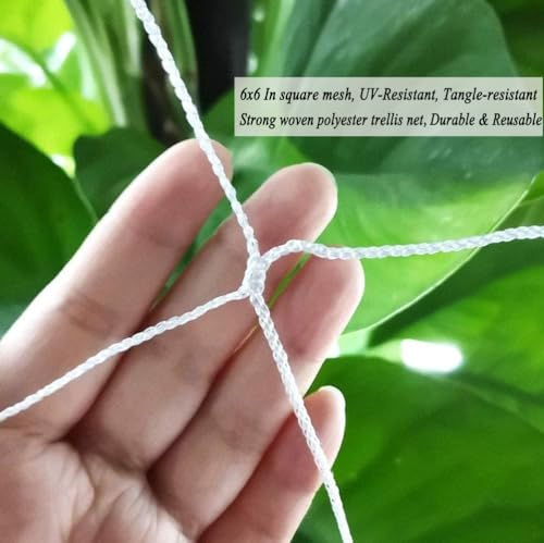 Trellis Netting 5x30 Ft for Climbing Plants - size: 5x30 FT