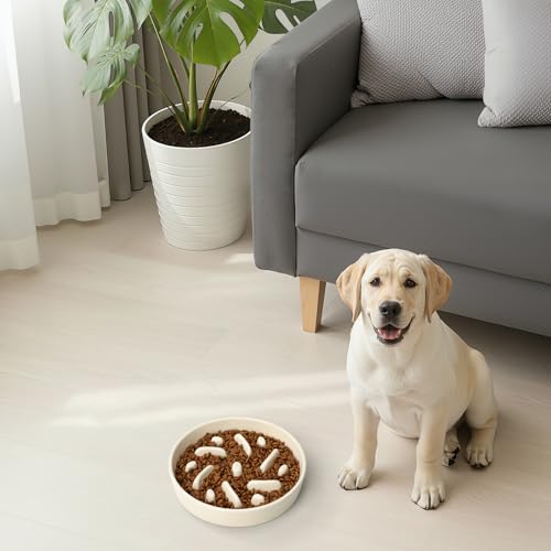 Ceramic Slow Feeder Dog Bowl, 2 Cups Maze Puzzle Dish to Slow Down Eating - color: Maze - White