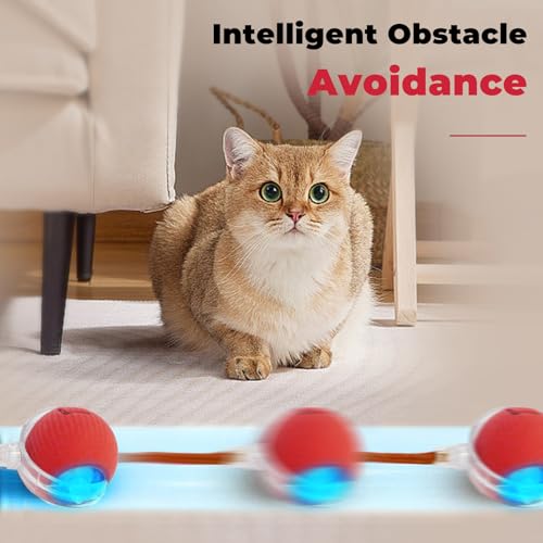 3pcs Smart Interactive Pet Toy Ball, Self Rolling Dog Ball Interactive Cat Toys, 360° Smart Automatic Rolling Ball Toy for Dogs Cats Indoor Outdoor Play (Red&Green&Grey) - color: Red+Green+Grey