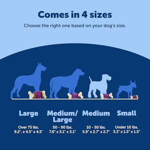PetSafe Busy Buddy Bouncy Bone Treat Holding Dog Chew Toy, Medium - size: Medium, style: Bouncy Bone