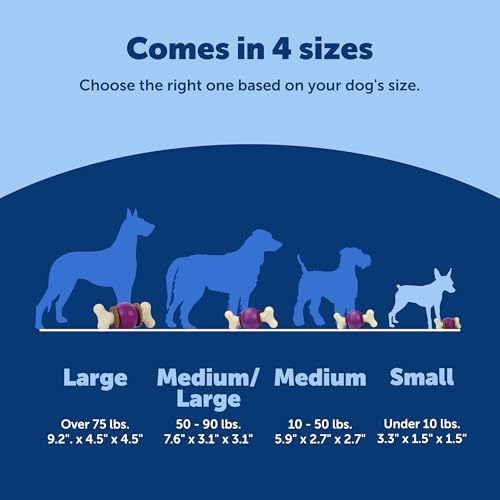 PetSafe Busy Buddy Bouncy Bone Treat Holding Dog Chew Toy, Small - size: Small, style: Bouncy Bone