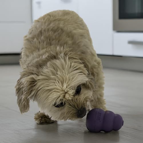 KONG Senior, Gentle Natural Rubber Stuffable Dog Toy, for Small Dogs - size: Small (Pack of 1)