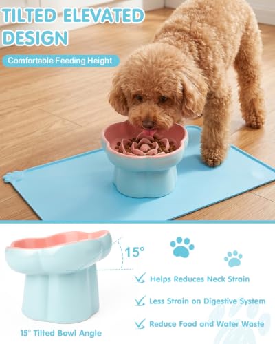 Ceramic Elevated Slow Feeder Cat Bowl Set with Feeding Mat & Measuring Scoop, Raised Tilted Puzzle Bowl for Cats & Small Dogs, Whisker Friendly Pet Feeding Dish for Dry Wet Food (Blue) - color: Blue
