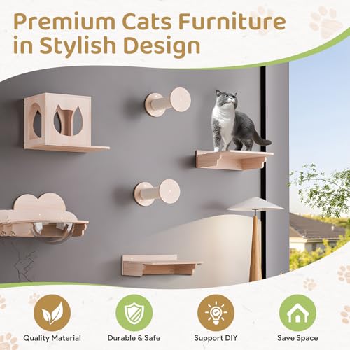 Cat Wall Furniture Set, Cats Wall Shelves Cat Wall Climber