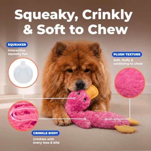 Best Pet Supplies Interactive Squeaky Dog Toy - Crinkle Duck, Pink - color: Crinkle Duck (Light Pink), size: Large